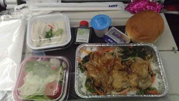 ポーランド航空 成田 ワルシャワ搭乗記 機内食と格安料金がおすすめ Lot直行便 天国に一番近い個人旅行