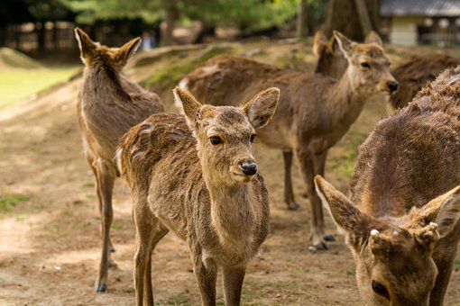 衝撃 仕事してないと暇 やることない 時間持て余してつまらない 自由のすすめ 天国に一番近い個人旅行